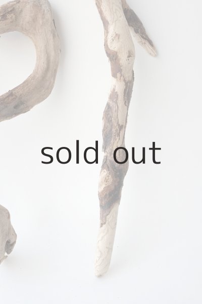 画像7: 流木根セット (7)