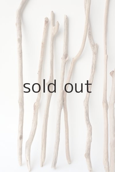 画像2: 小枝流木セット (2)