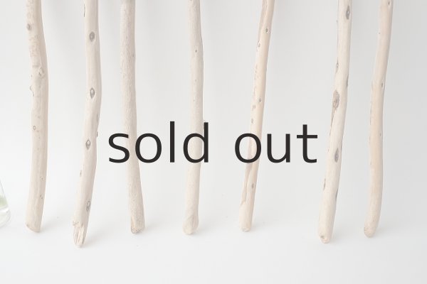 画像2: 棒流木セット (2)