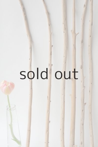 画像5: 棒流木セット (5)