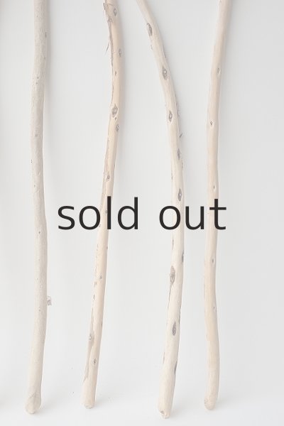 画像6: 棒流木セット (6)