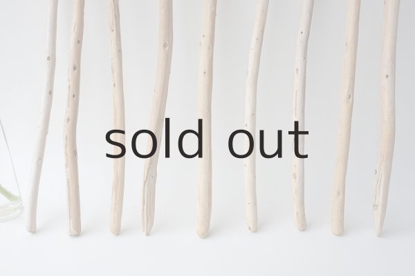 画像2: 棒流木セット (2)