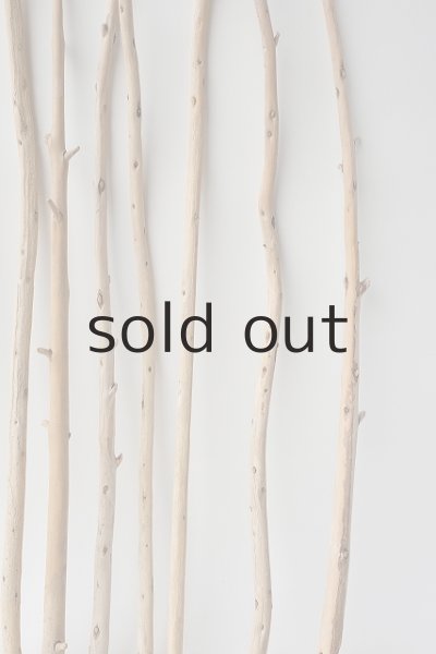 画像6: 棒流木セット (6)