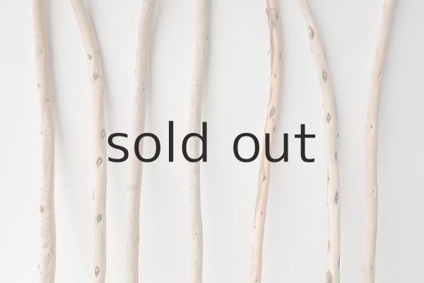 画像3: 棒流木セット (3)