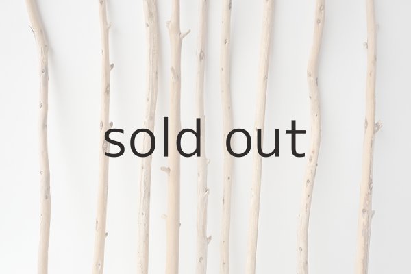 画像3: 棒流木セット (3)