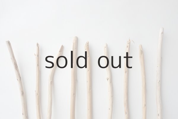 画像4: 棒流木セット (4)