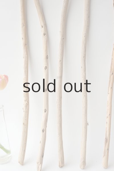 画像5: 棒流木セット (5)