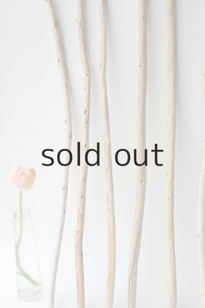 画像5: 棒流木セット (5)