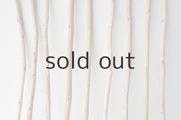 画像3: 棒流木セット (3)