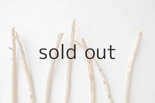 画像4: 棒流木セット (4)