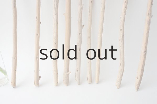 画像2: 棒流木セット (2)