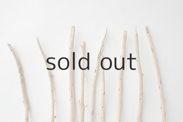 画像4: 棒流木セット (4)