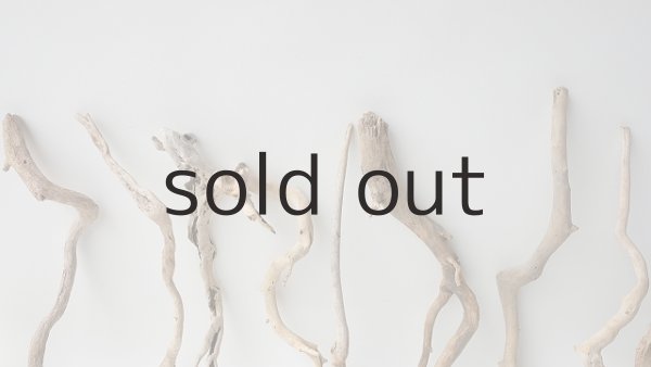 画像6: 流木根セット (6)