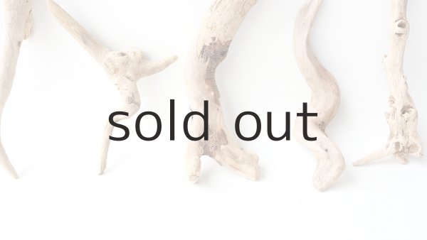 画像5: 流木根セット (5)