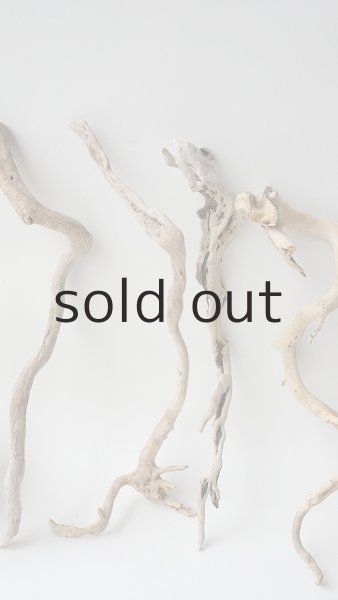 画像2: 流木根セット (2)