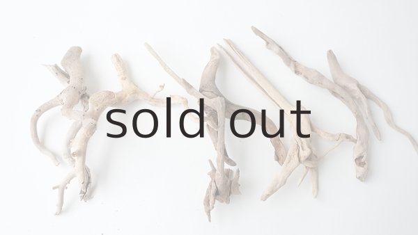 画像5: 流木根セット (5)