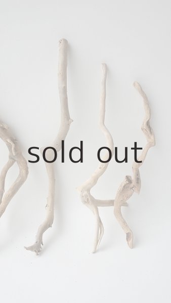 画像4: 流木根セット (4)