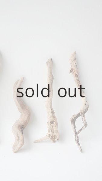 画像4: 流木根セット (4)