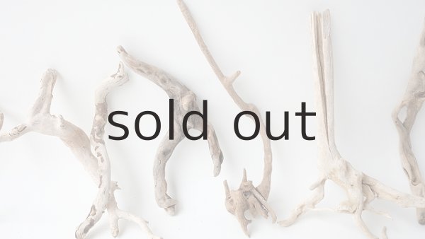 画像3: 流木根セット (3)