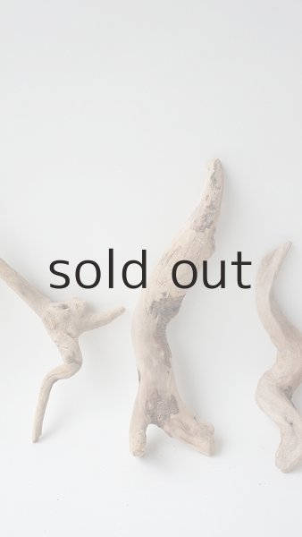 画像3: 流木根セット (3)