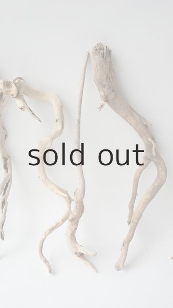 画像3: 流木根セット (3)