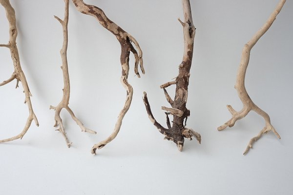 画像5: 流木根セット (5)