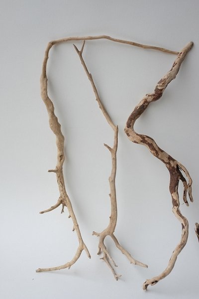 画像2: 流木根セット (2)