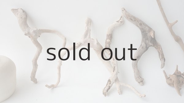 画像2: 流木根セット (2)