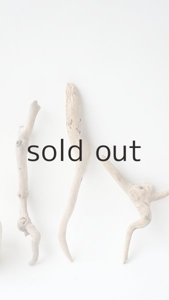 画像2: 流木根セット (2)