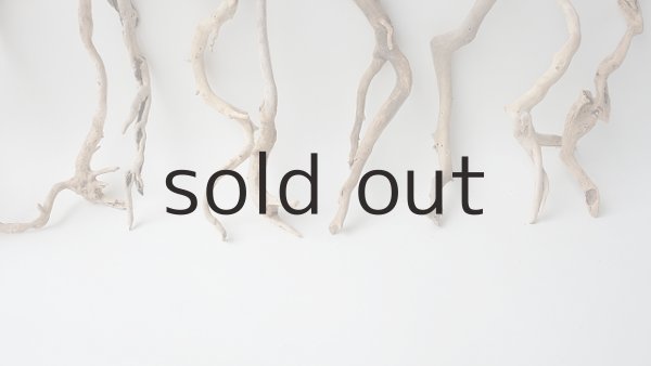 画像5: 流木根セット (5)