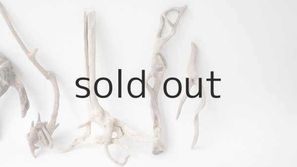 画像4: 流木根セット (4)