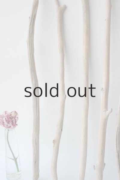 画像5: 小枝流木セット (5)