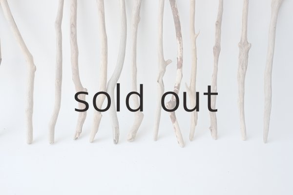 画像5: 小枝流木セット (5)