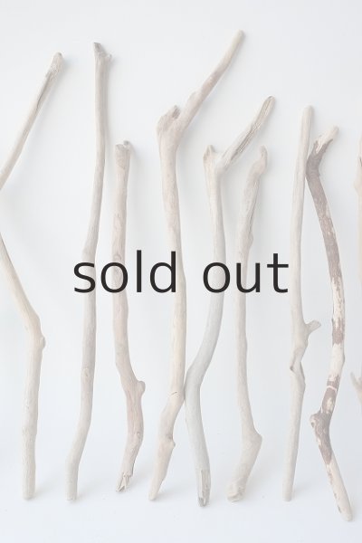 画像3: 小枝流木セット (3)