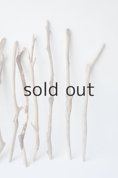 画像4: 小枝流木セット (4)