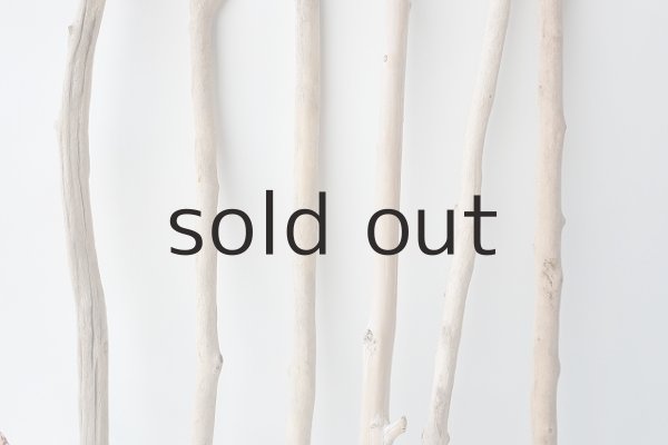 画像3: 小枝流木セット (3)