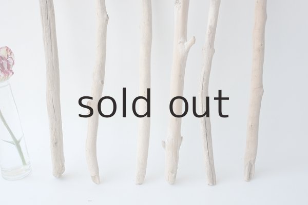 画像2: 小枝流木セット (2)