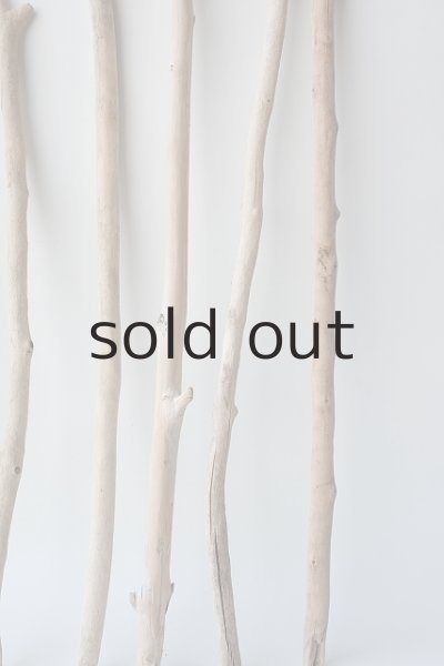 画像6: 小枝流木セット (6)