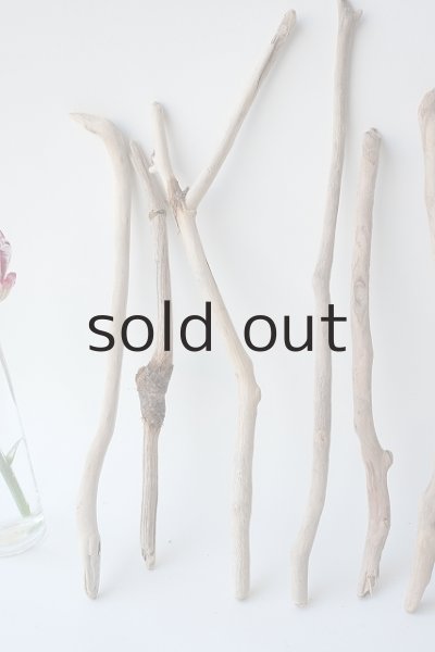 画像2: 小枝流木セット (2)