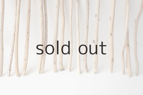 画像5: 棒流木セット (5)