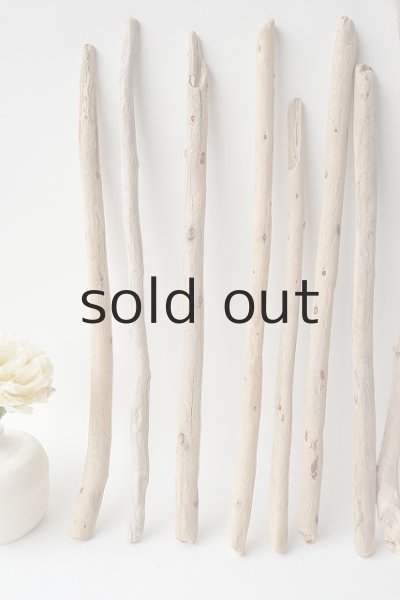 画像2: 棒流木セット (2)