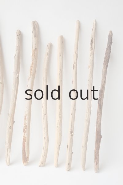 画像4: 棒流木セット (4)