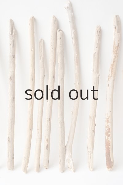 画像3: 棒流木セット (3)