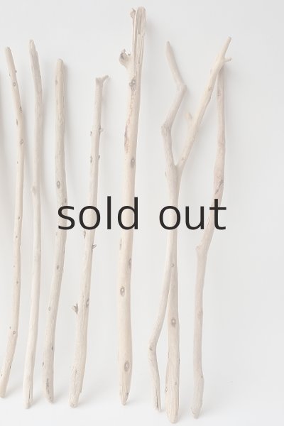 画像4: 棒流木セット (4)