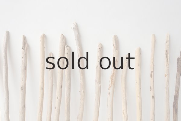 画像6: 棒流木セット (6)