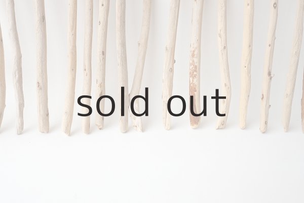 画像5: 棒流木セット (5)