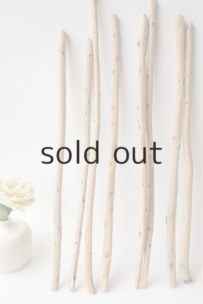 画像2: 棒流木セット (2)