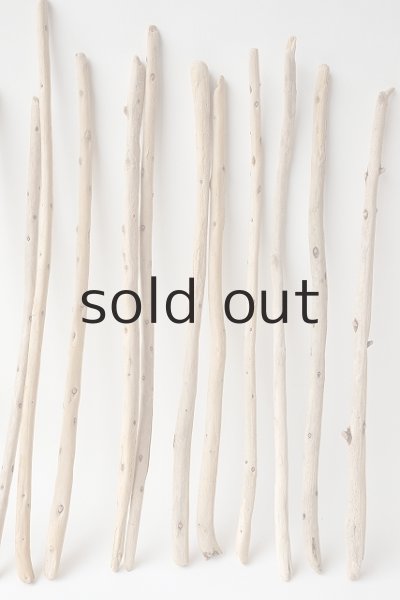 画像3: 棒流木セット (3)