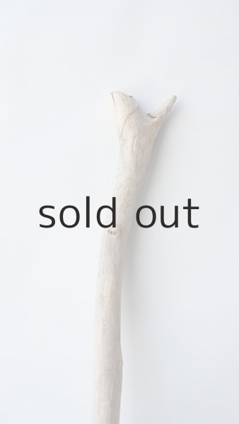 画像3: 小枝流木セット (3)