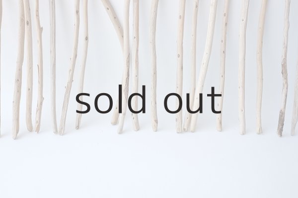 画像5: 棒流木セット (5)